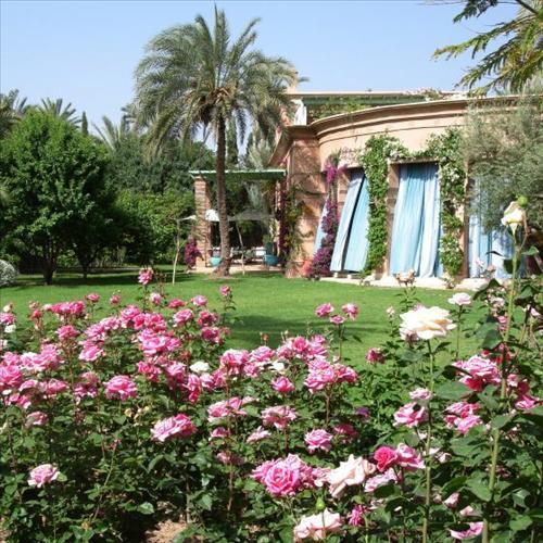 Hotel Dar Zemora Marrakesz Zewnętrze zdjęcie